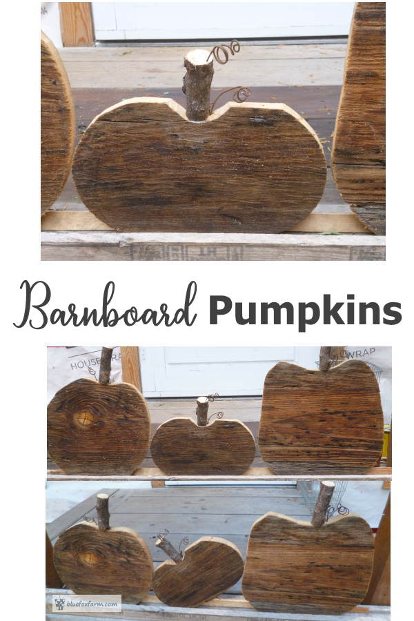 barnboard-pumpkins600x900.jpg