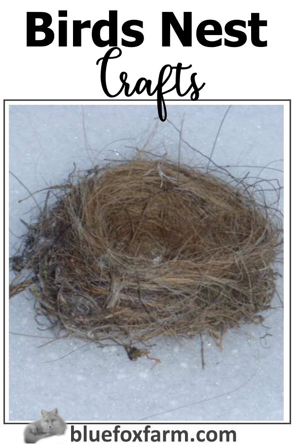 birds-nest-crafts-600x900.jpg