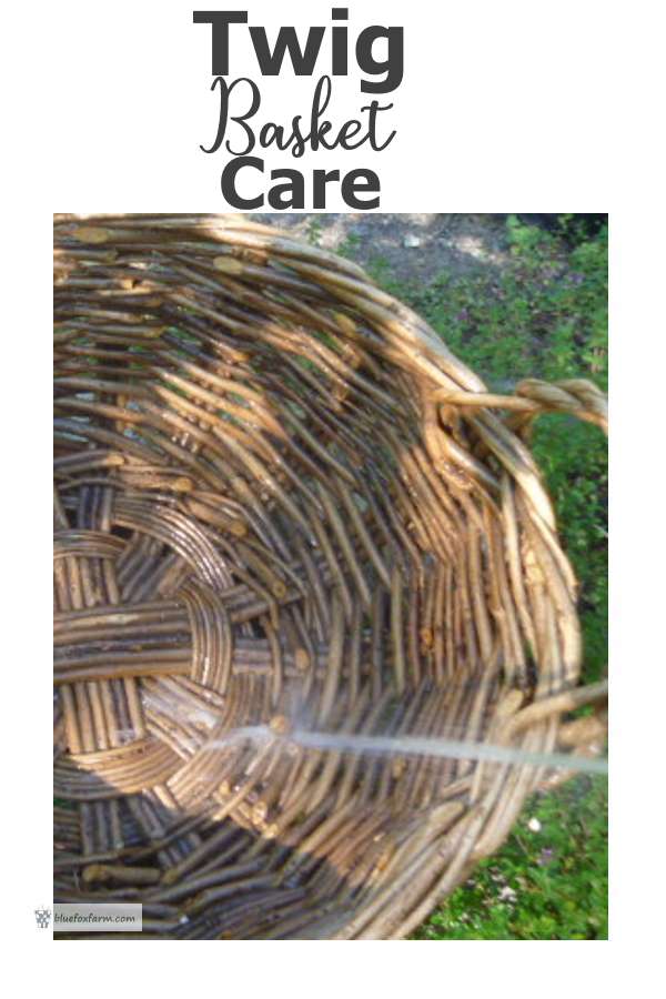 twig-basket-care600x900.jpg