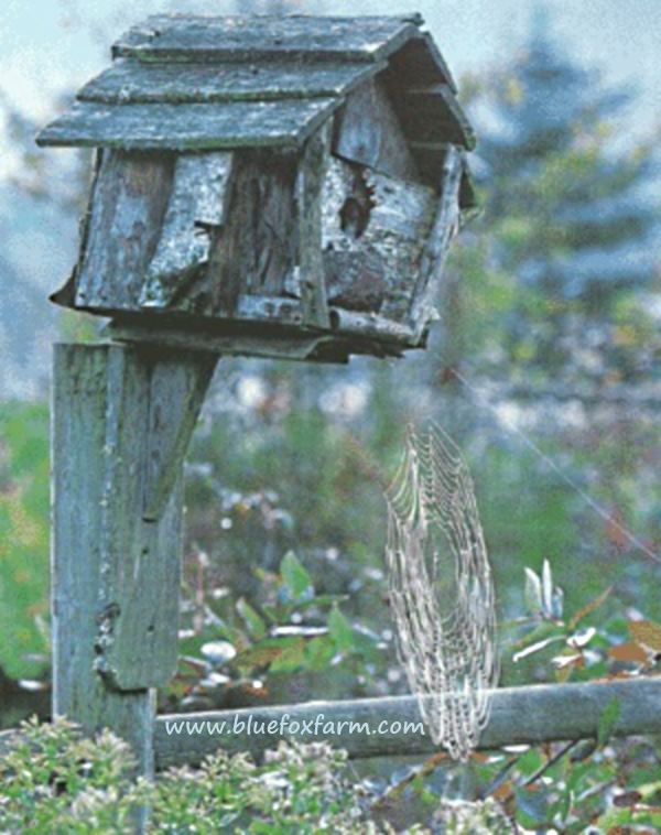 Really rustic bird house - perched on a fence...