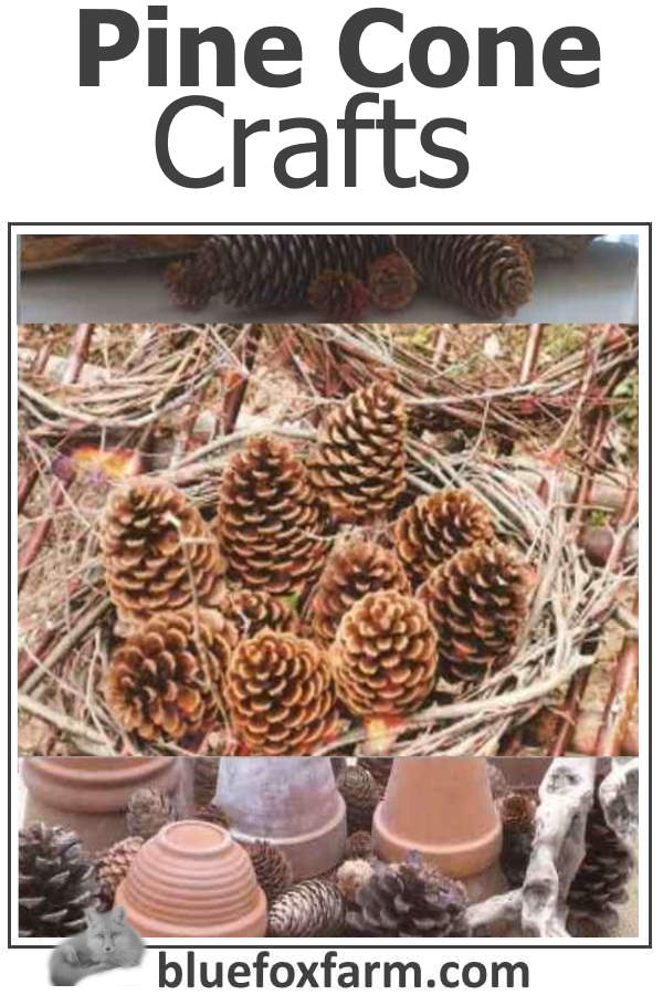 Pine Cone Crafts - using conifer cones and seed pods for rustic crafts