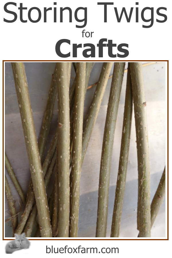 Storing Twigs for Crafts; harvesting and collecting is done, now what?
