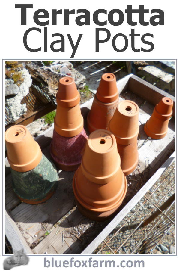 Terracotta Clay Pots - old fashioned, yet new again