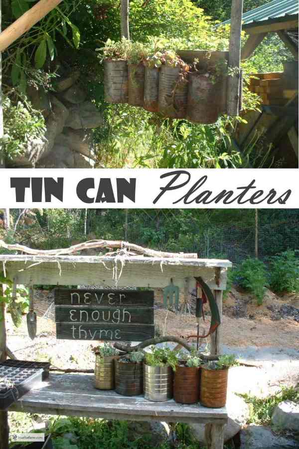 Tin Can Planters; recycling, out of the box