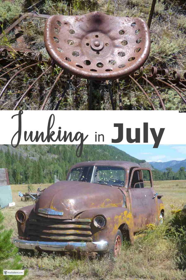 junking-in-july600x900.jpg